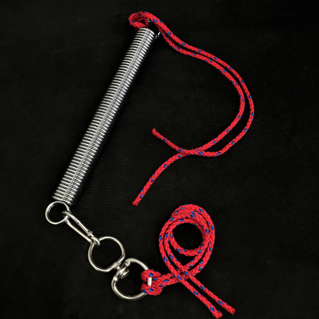 Dog Training Spring Set