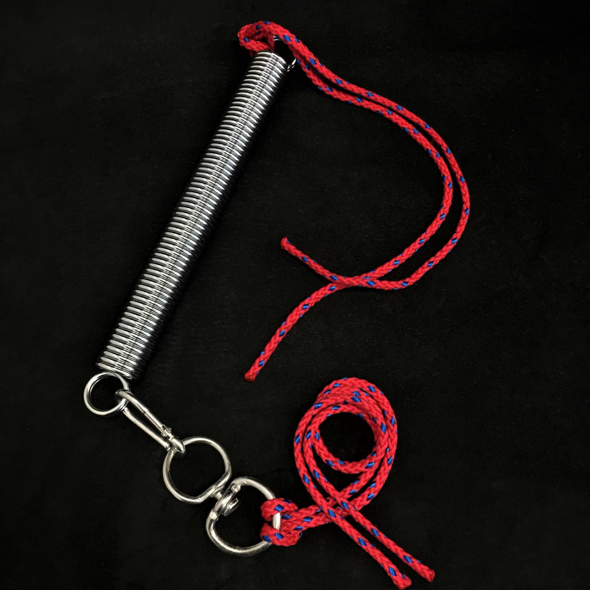 Dog Training Spring Set