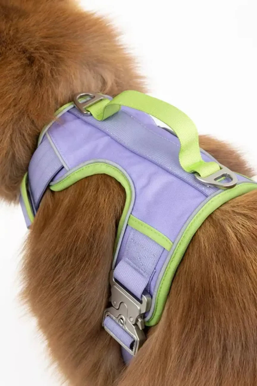 Lavender Garden Dog Harness