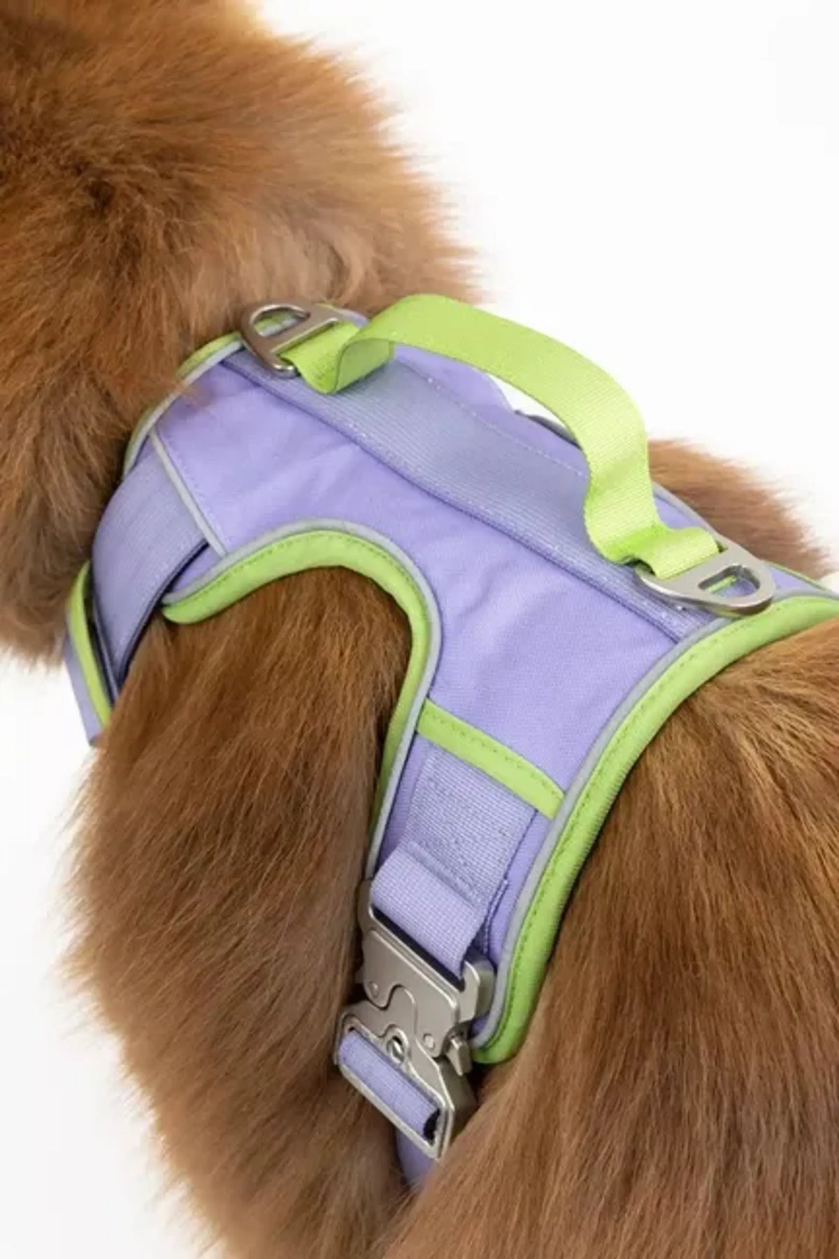 Lavender Garden Dog Harness