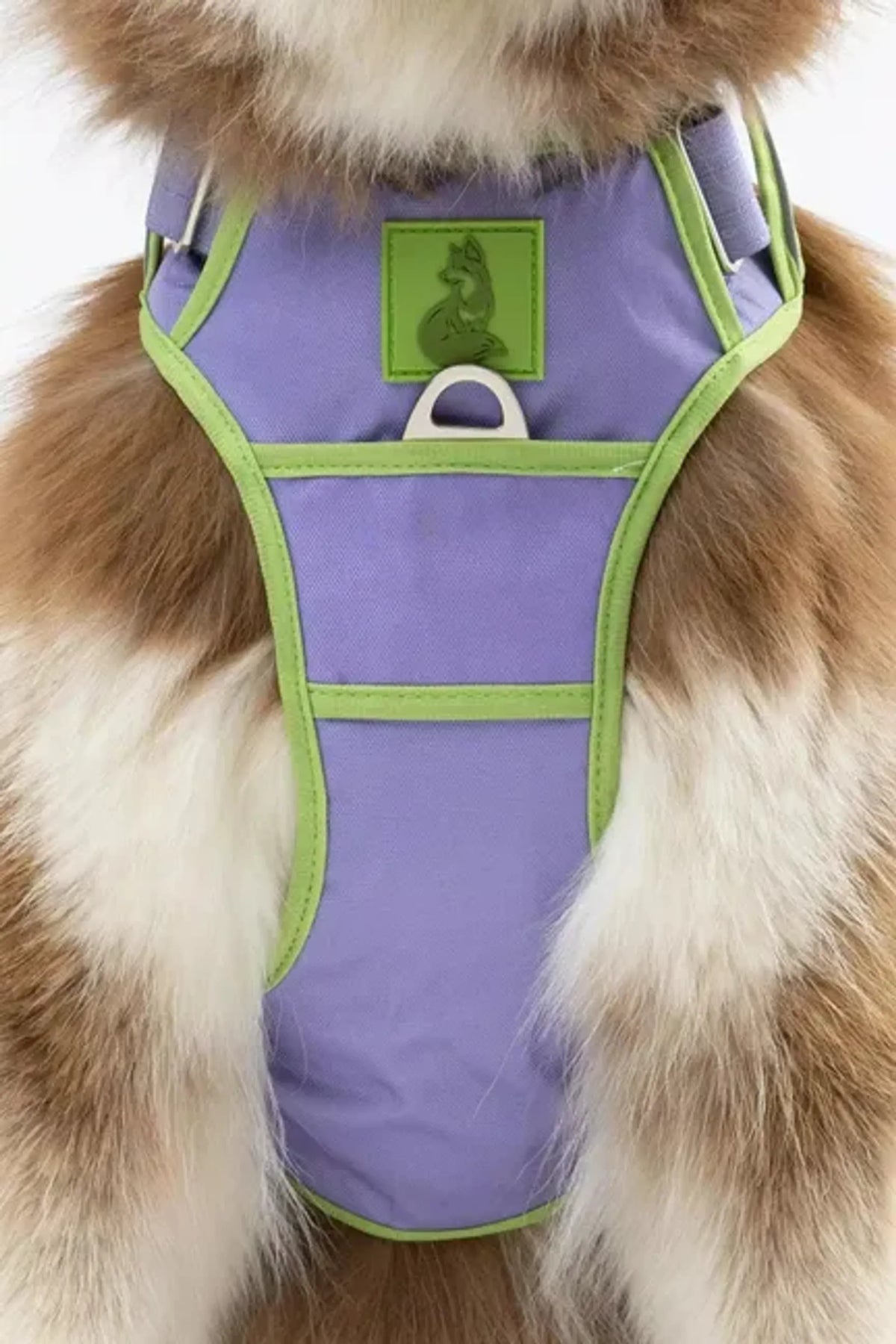 Lavender Garden Dog Harness