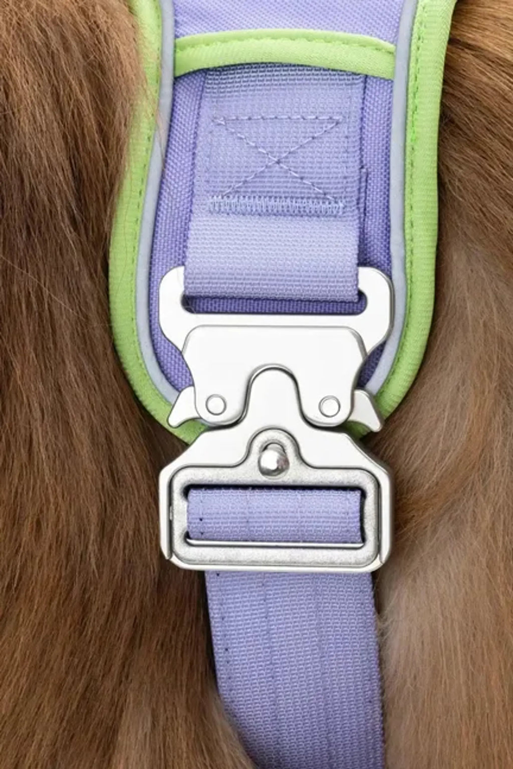 Lavender Garden Dog Harness