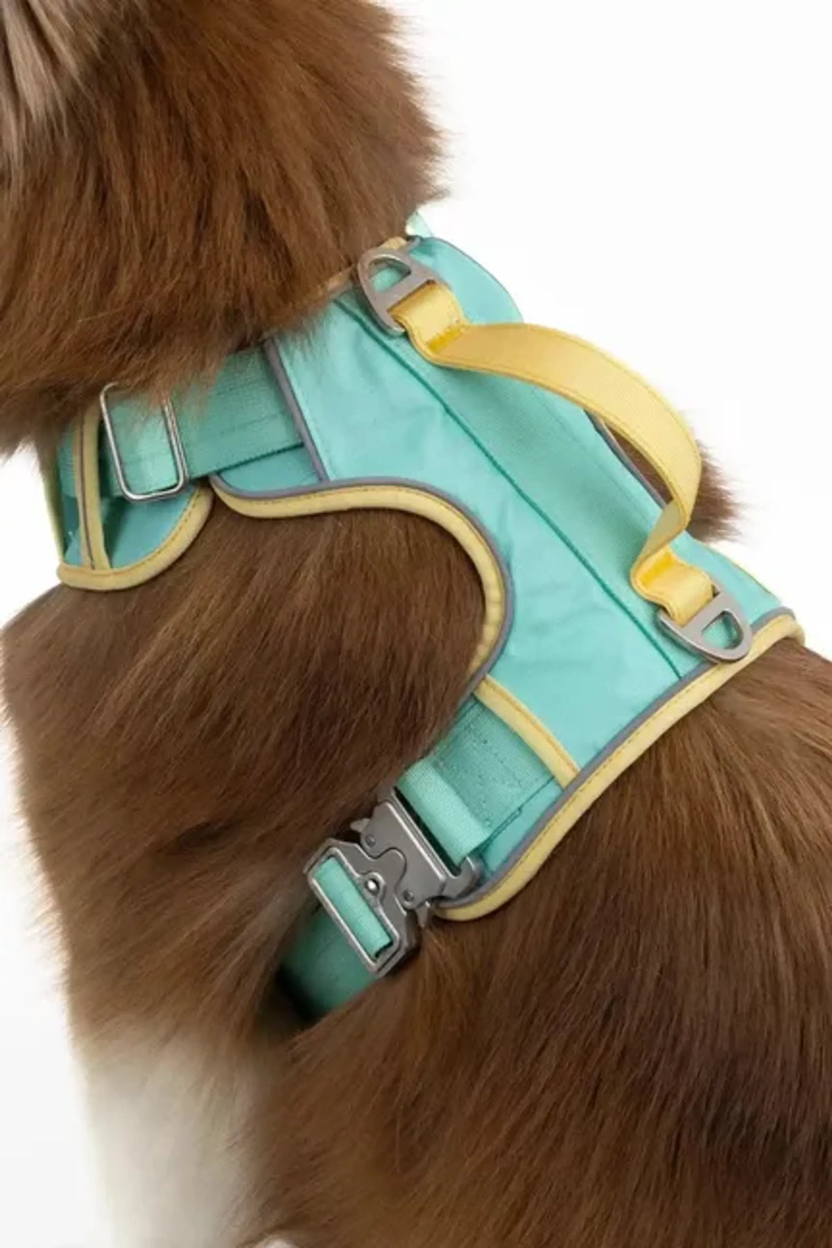 Island Vibes Dog Harness