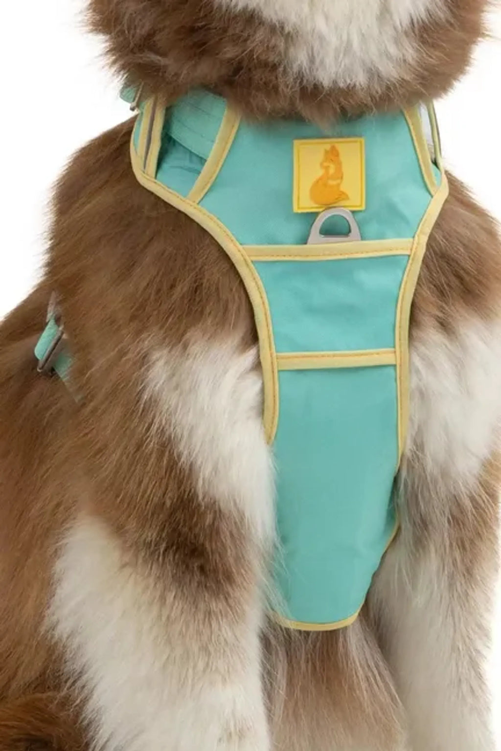 Island Vibes Dog Harness