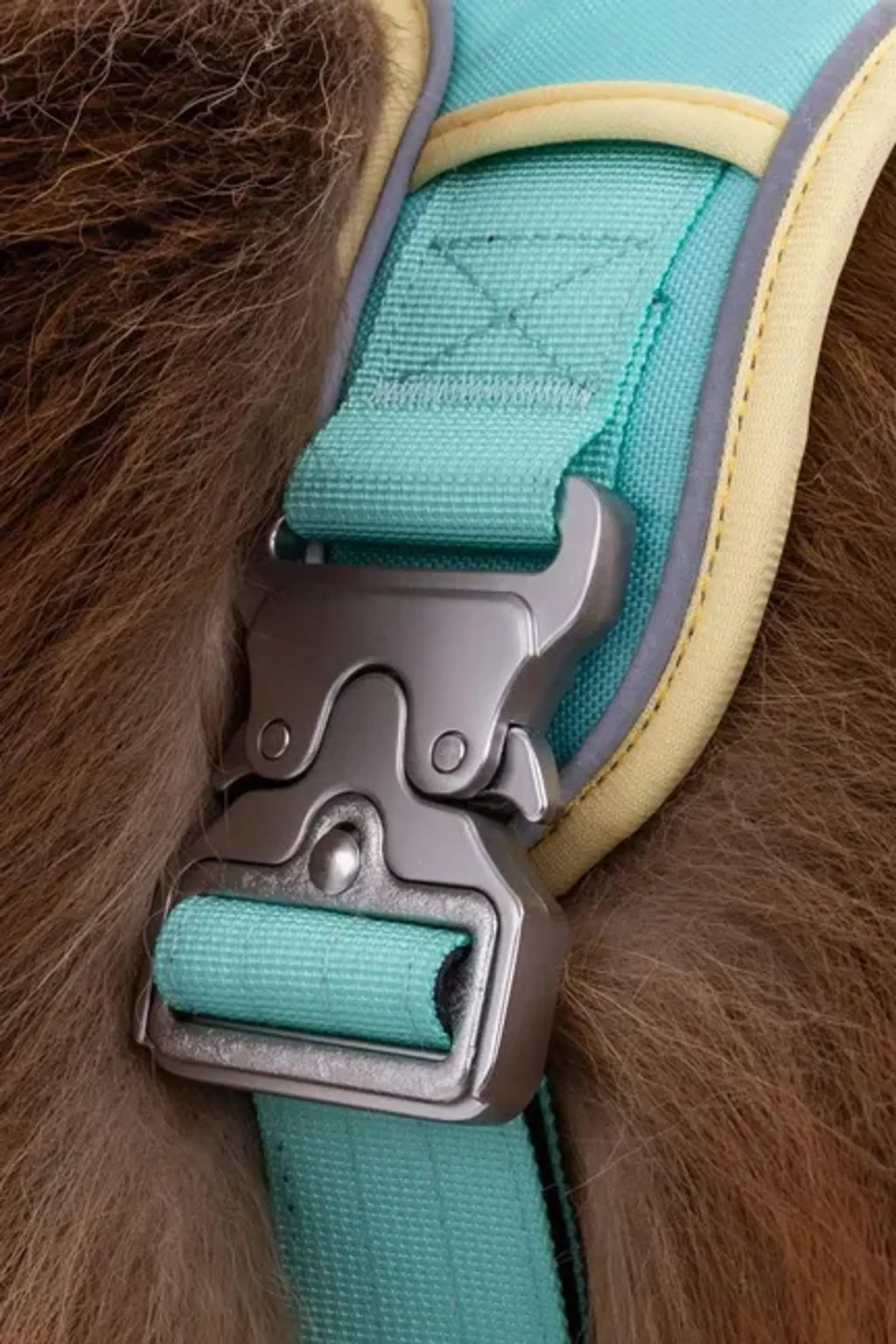 Island Vibes Dog Harness