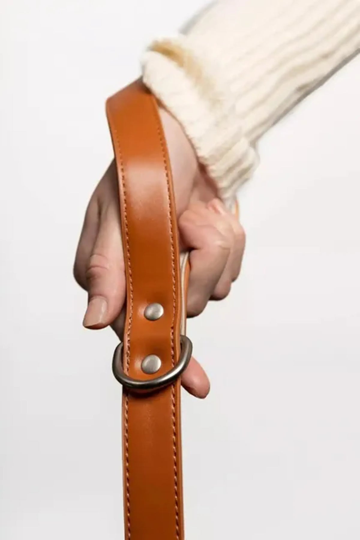 Sierra Sunrise Dog Leash