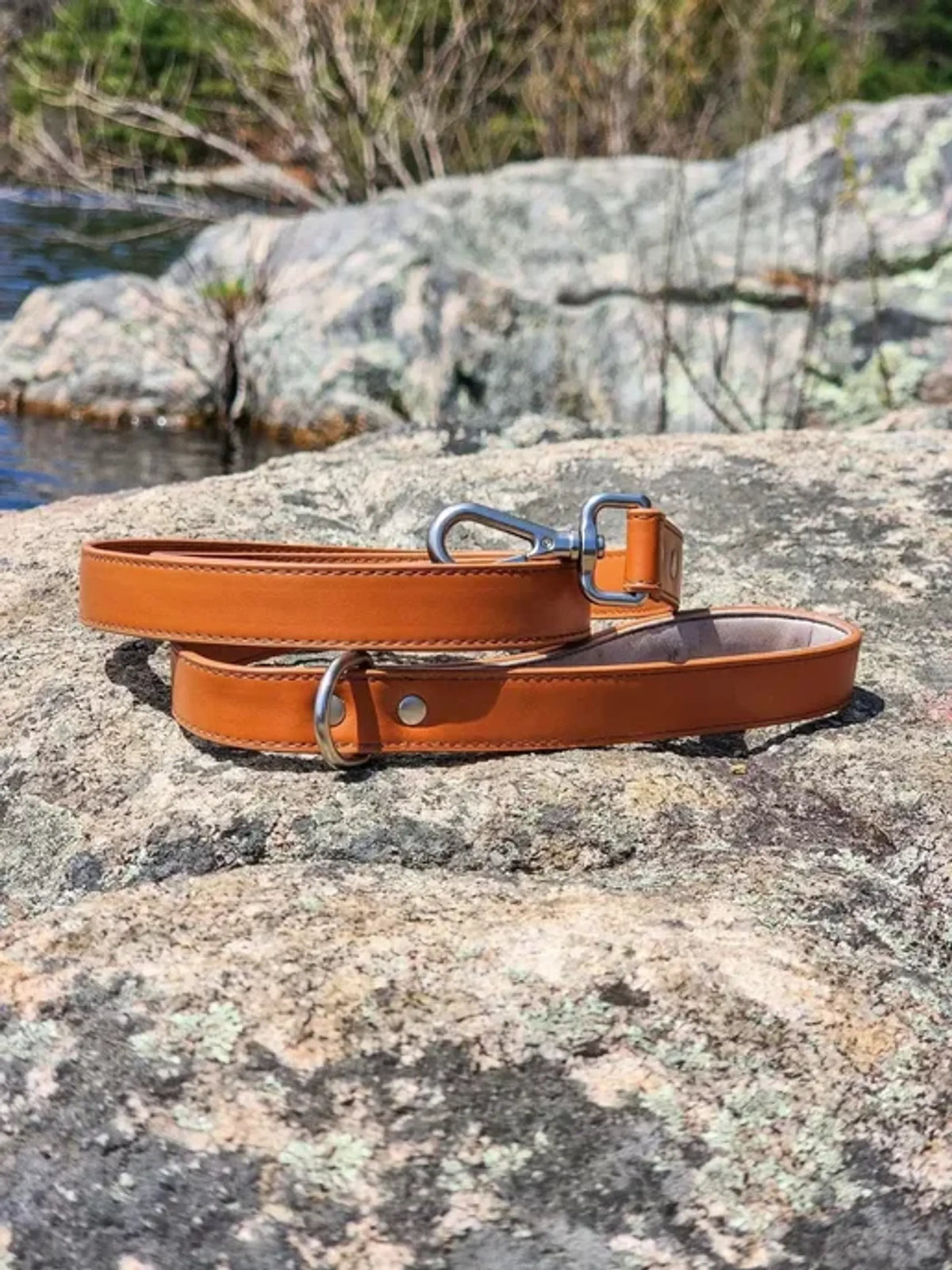 Sierra Sunrise Dog Leash
