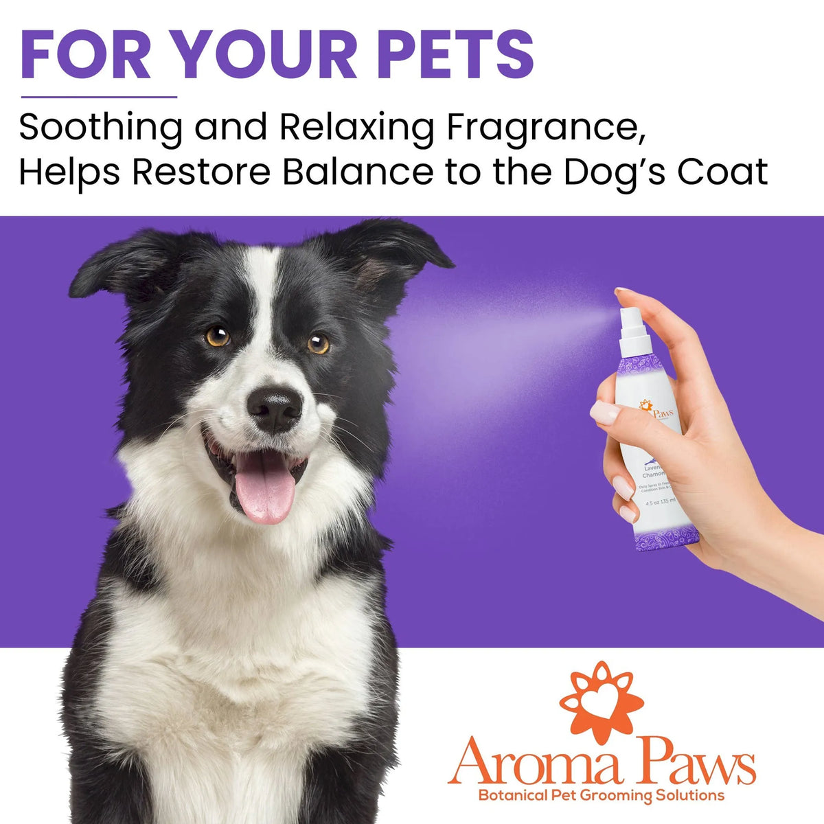 Lavender Chamomile Dog Coat Spray