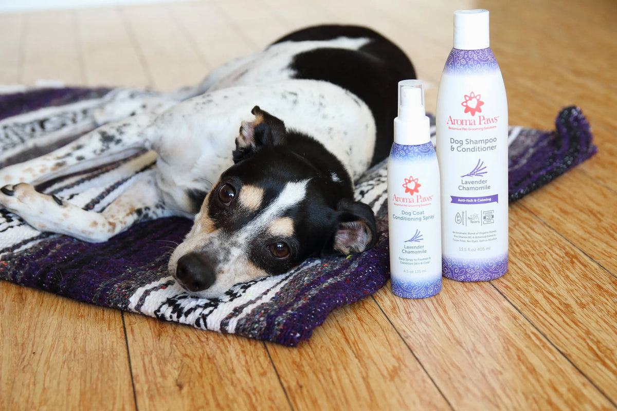 Lavender Chamomile Dog Coat Spray