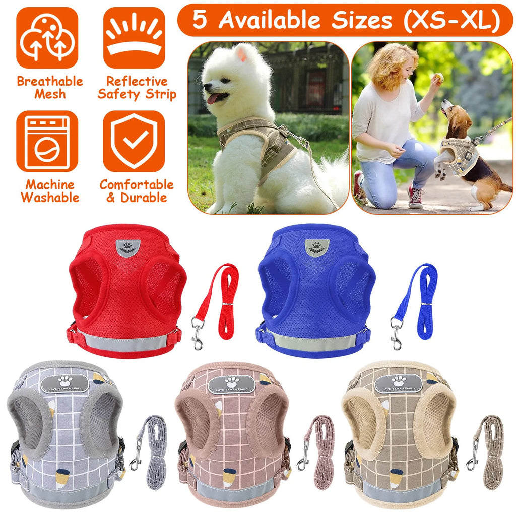 Mesh Dog Harness and Leash Set