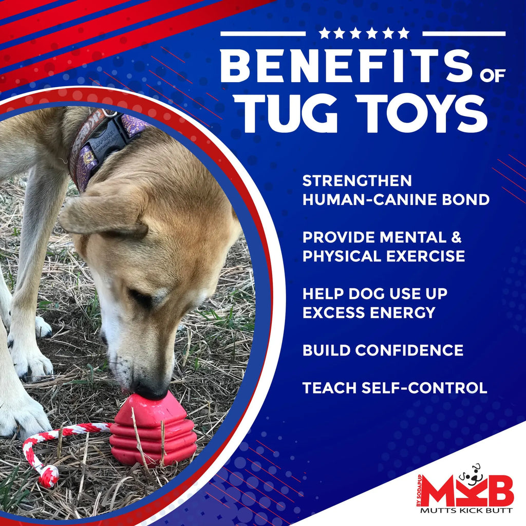 Heart Rubber Tug Dog Toy