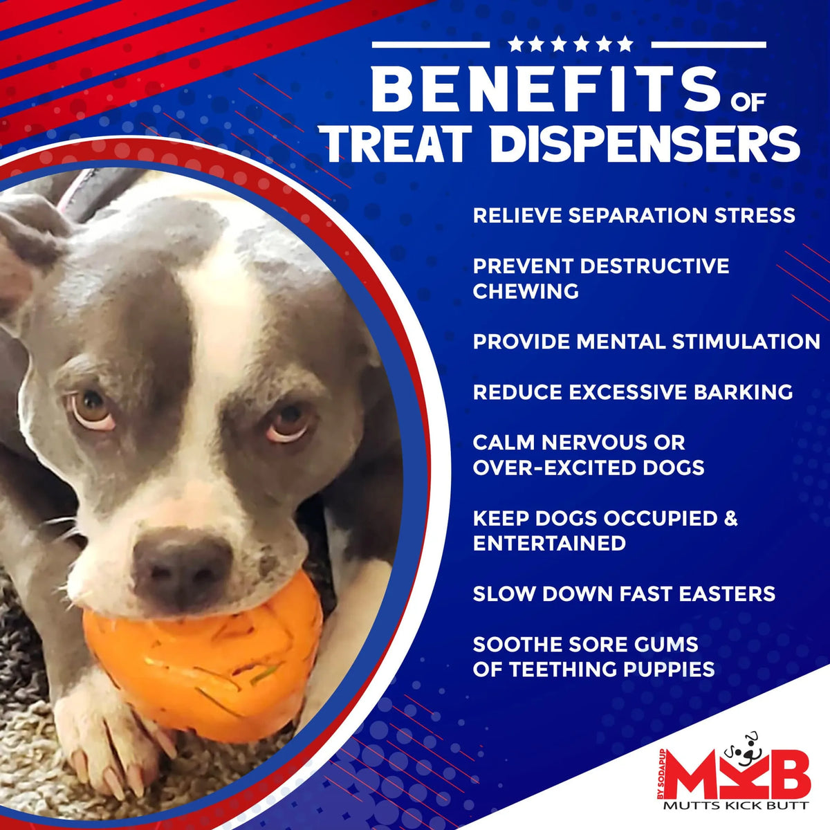Roasted Turkey Treat Dispenser Dog Toy