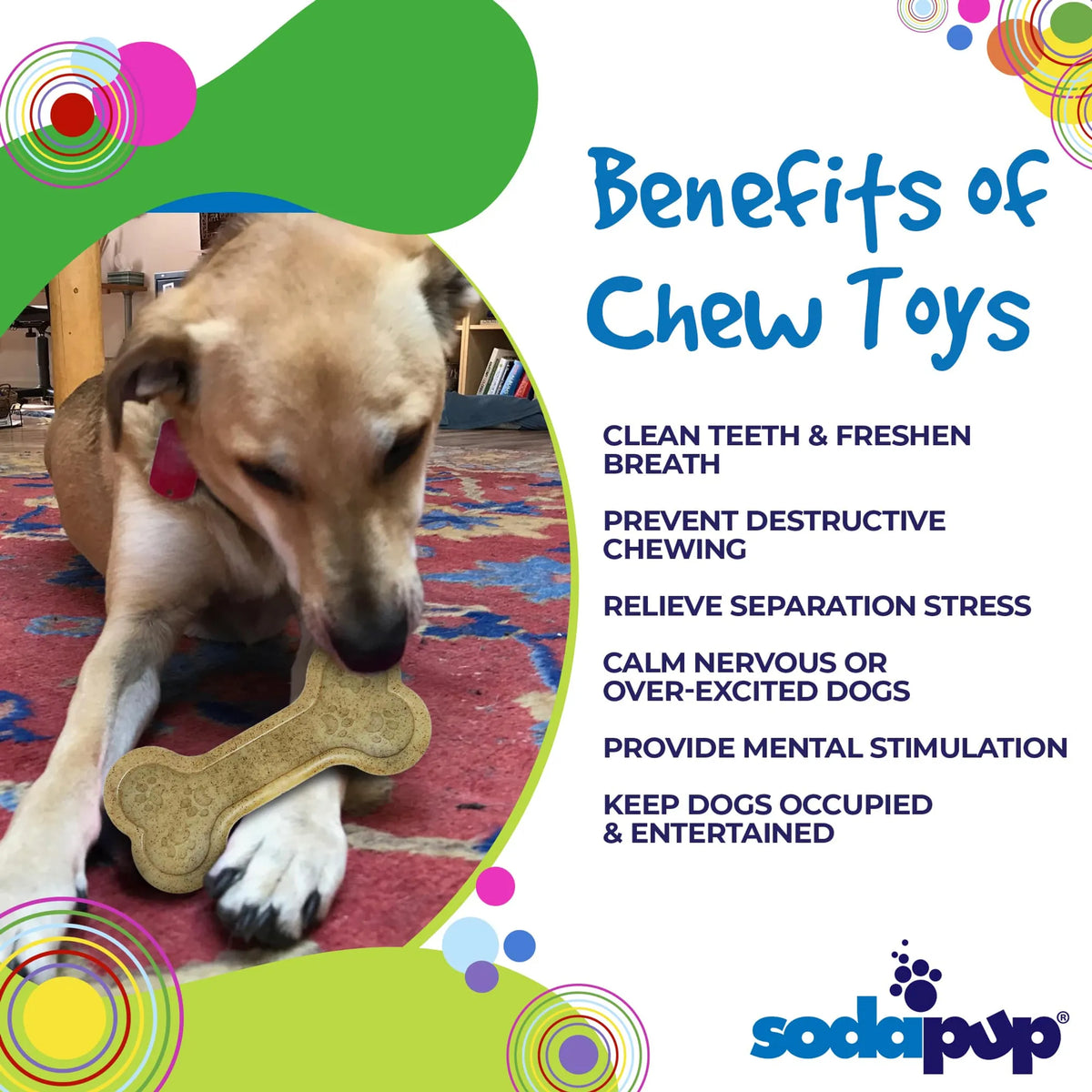 Bone Nylon Dog Chew Toy