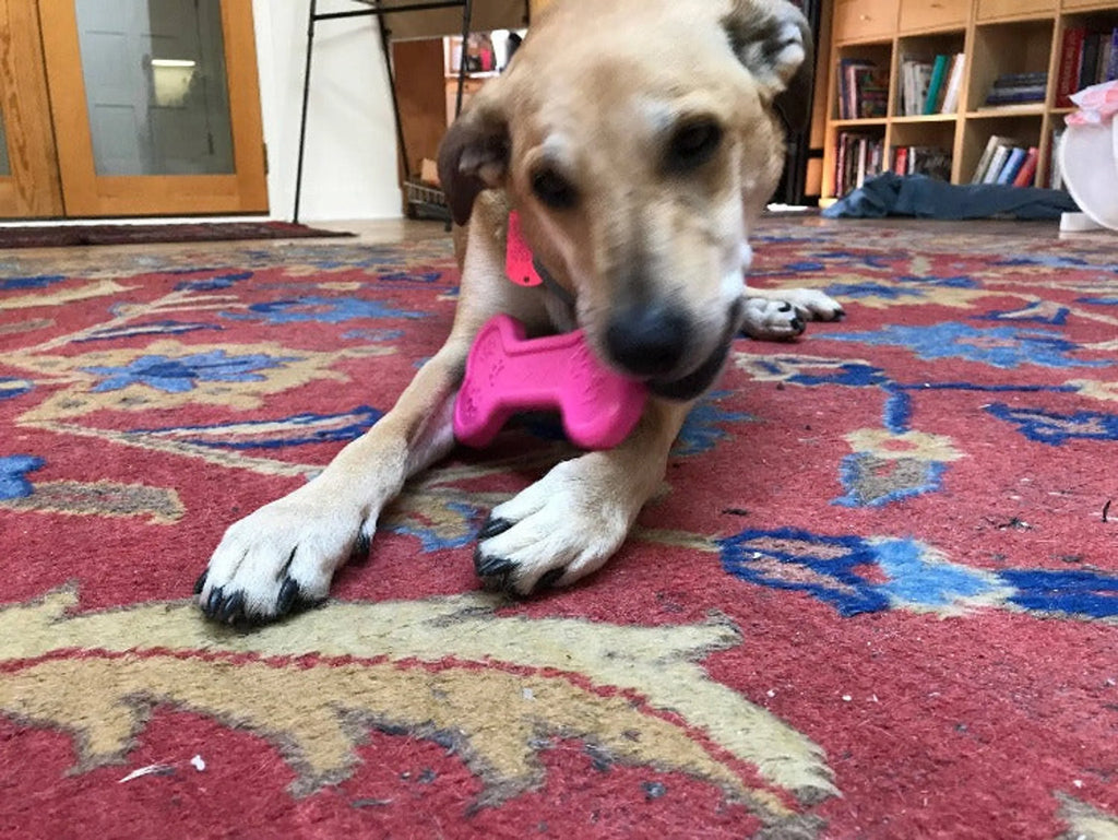 Bone Nylon Dog Chew Toy