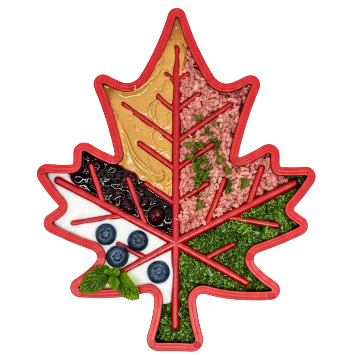 Maple Leaf Nylon Dog Chew Toy