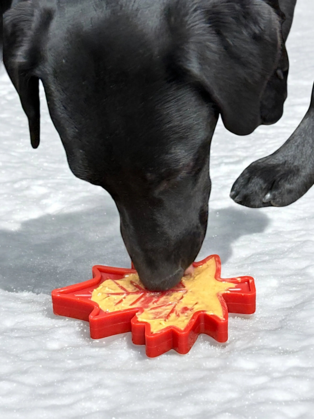 Maple Leaf Nylon Dog Chew Toy