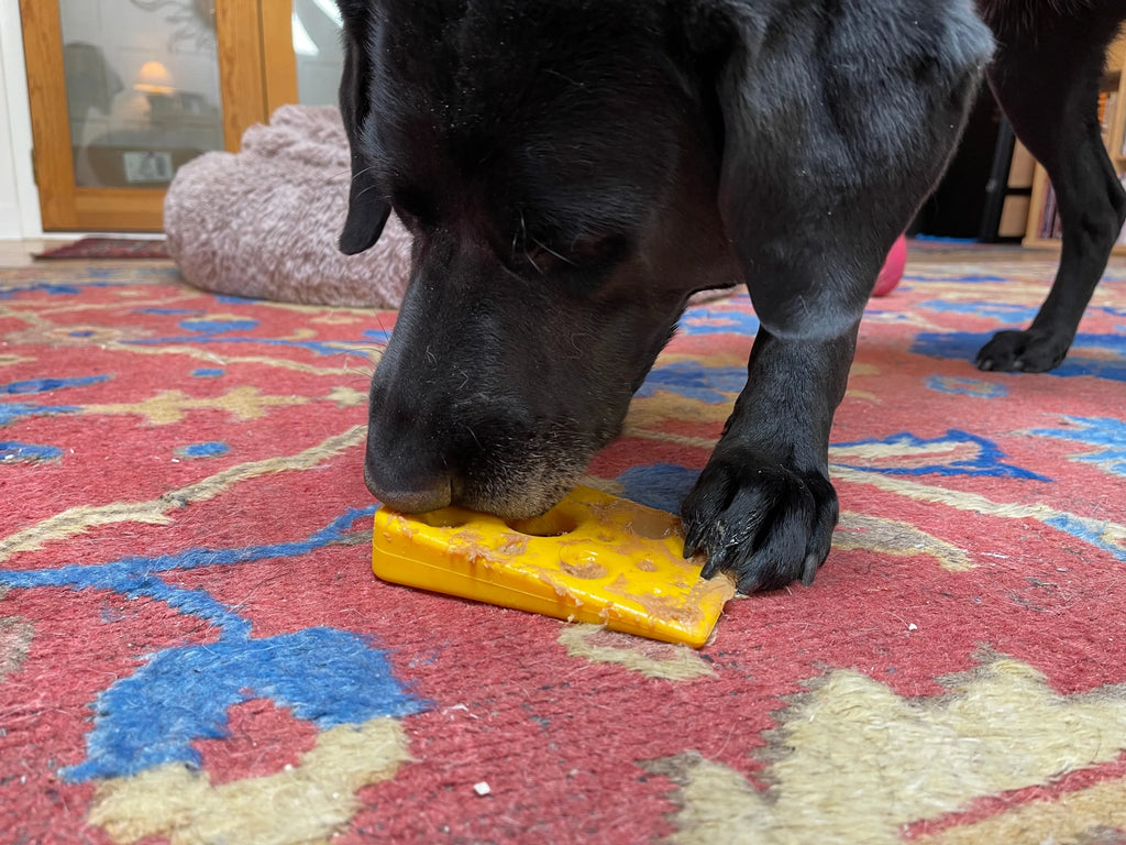 Swiss Cheese Nylon Dog Chew Toy