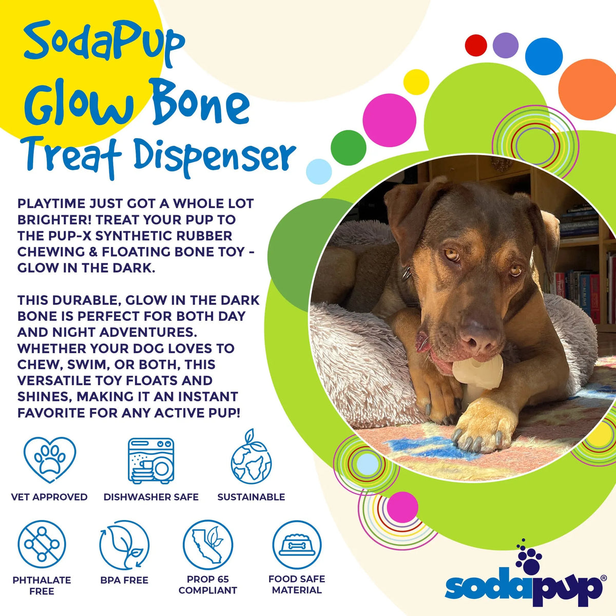 PUP-X Rubber Bone Dog Toy