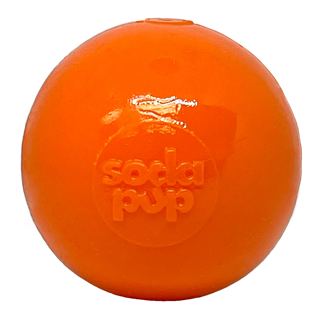 Durable Squeaky Dog Ball