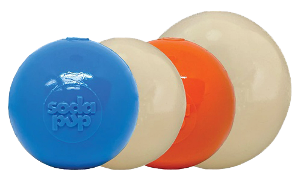 Durable Squeaky Dog Ball