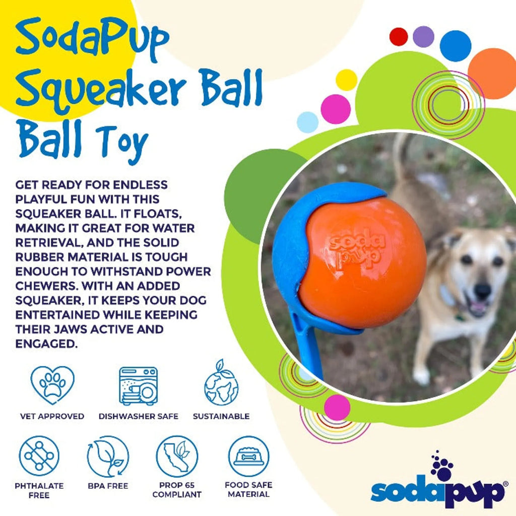 Durable Squeaky Dog Ball