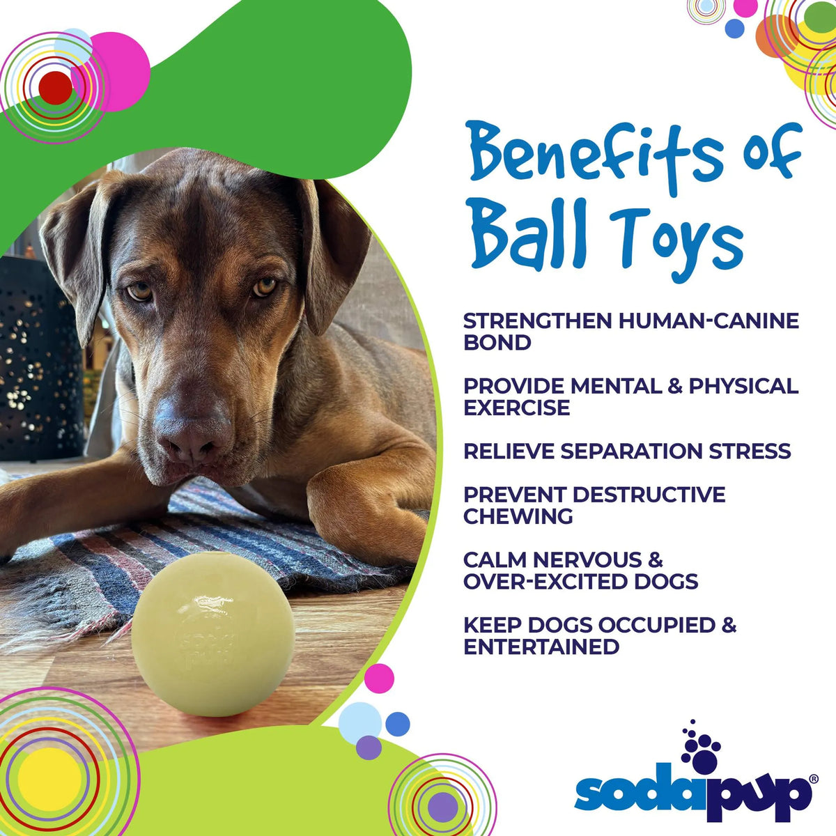 Durable Squeaky Dog Ball