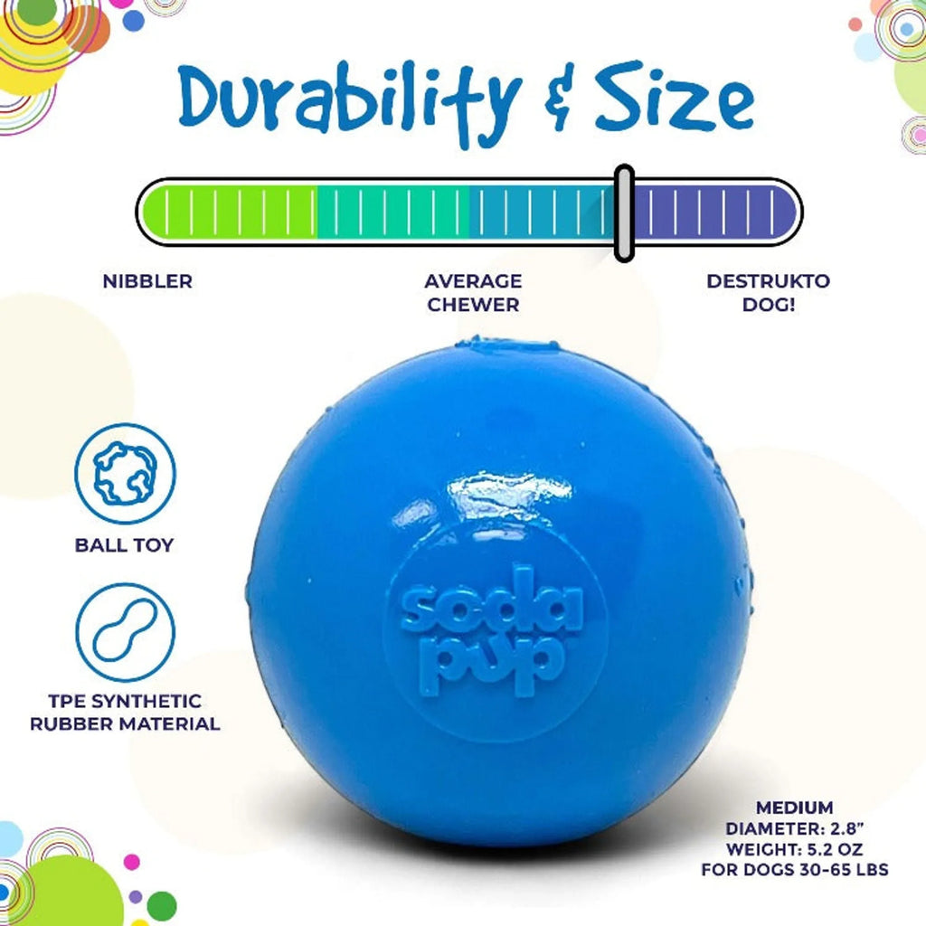 Durable Squeaky Dog Ball