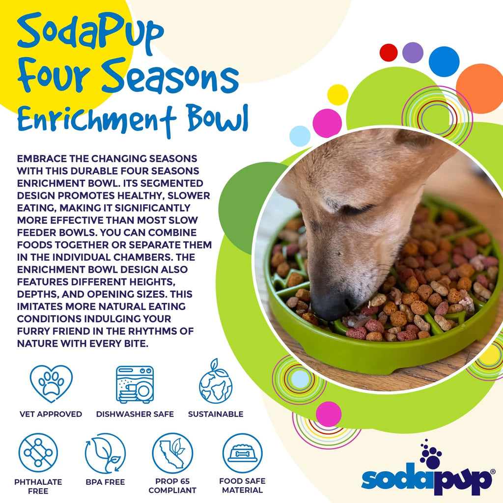 Four Seasons Slow Feeder Dog Bowl