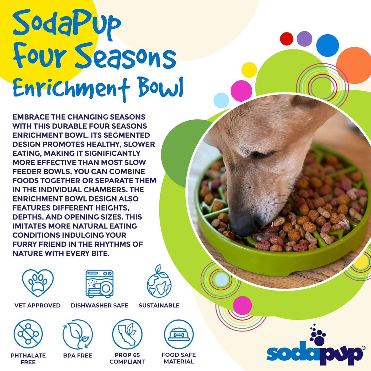 Four Seasons Slow Feeder Dog Bowl