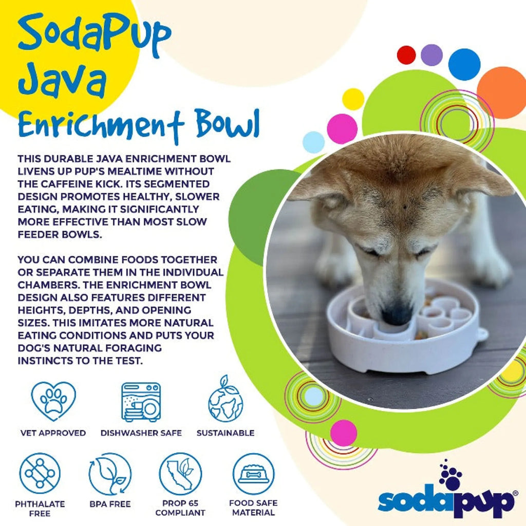 Java Slow Feeder Dog Bowl