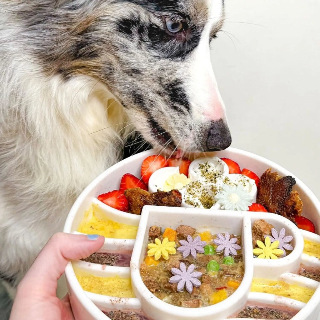 Java Slow Feeder Dog Bowl