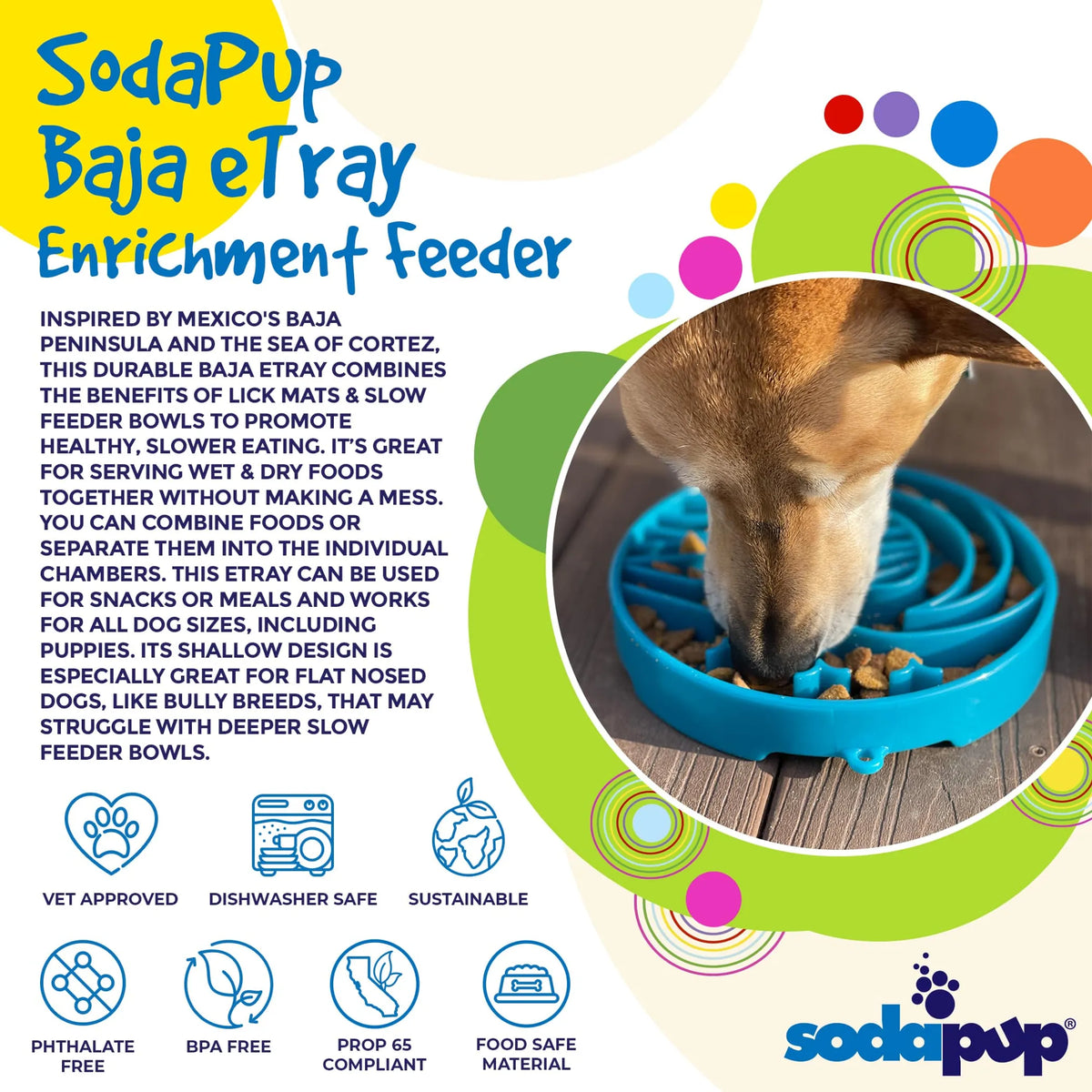 Baja Slow Feeder Dog Bowl