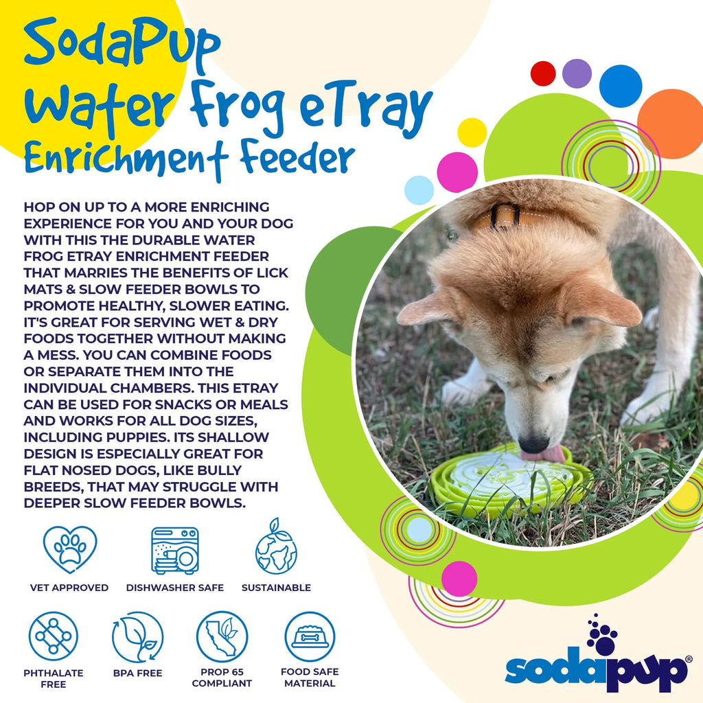 Water Frog Slow Feeder Dog Bowl
