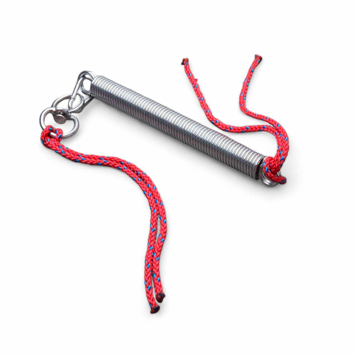 Dog Training Spring Set