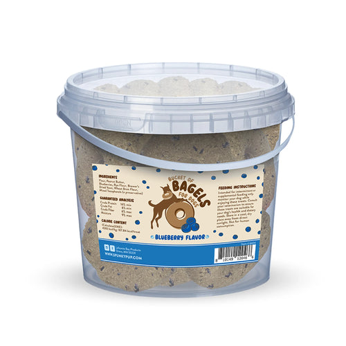 Blueberry Bagel Dog Treats